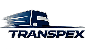 Logo 12